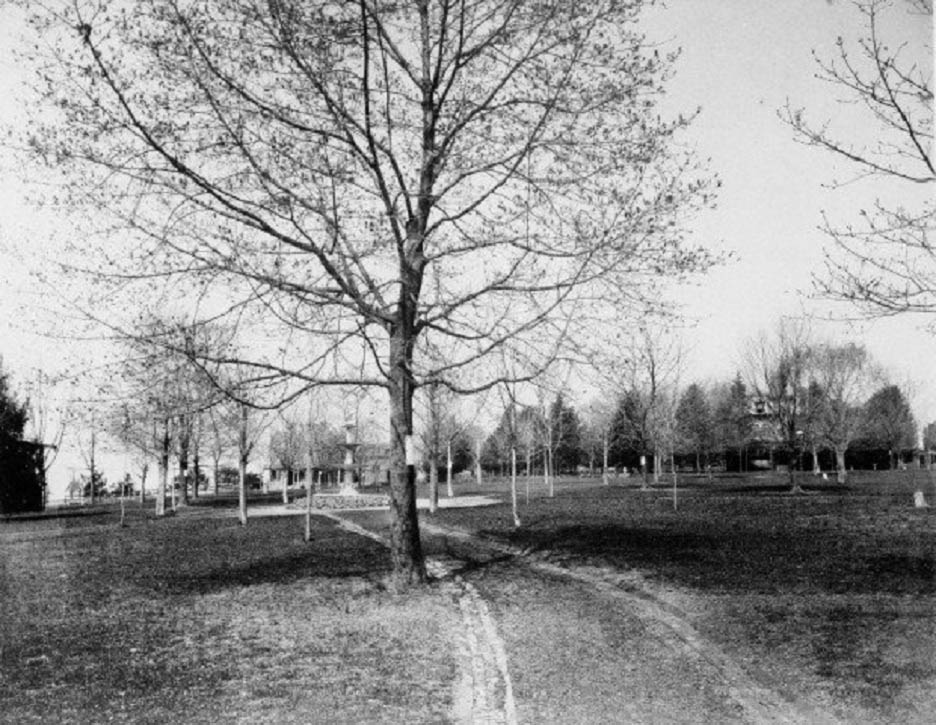 8th Street Park Franklin and Broom Streets Wilm DE early 1900s
