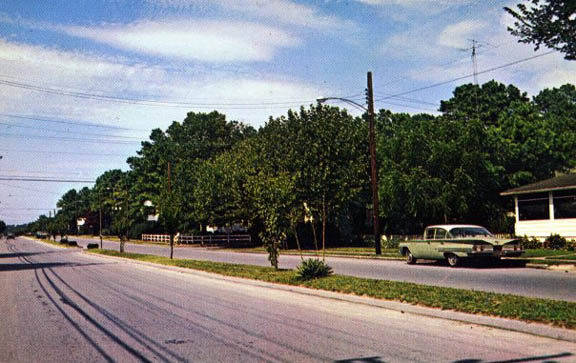 BAYARD AVE IN REHOBOTH BEACH DE 1960s