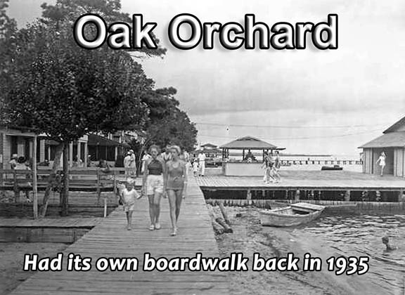 Bathers at Oak Orchard DE in 1935