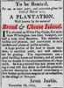 BREAD AND CHEESE ISLAND RENTAL HOUSE AD ON 11-22-1809