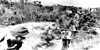 German prisoners-of-war clearing ditches near Dewey Beach DE May 1945
