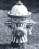 PAINTED FIRE HYDRANT IN DELAWARE 1976