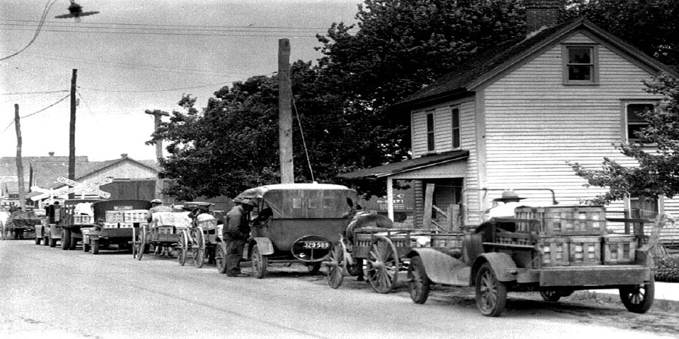 Selbyville Delaware Farmers lined up to sell crop in June of 1931