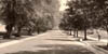 South College Avenue from Kells Avenue in Newark Delaware 5-25-1929