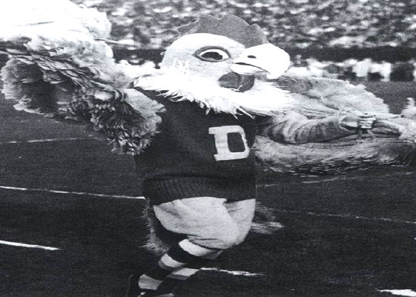 University of Delaware BLUE HEN MASCOT CIRCA 1960s