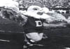 University of Delaware BLUE HEN MASCOT CIRCA 1960s
