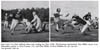 University of Delaware Football Players Dan Ford and Don Miller 1954