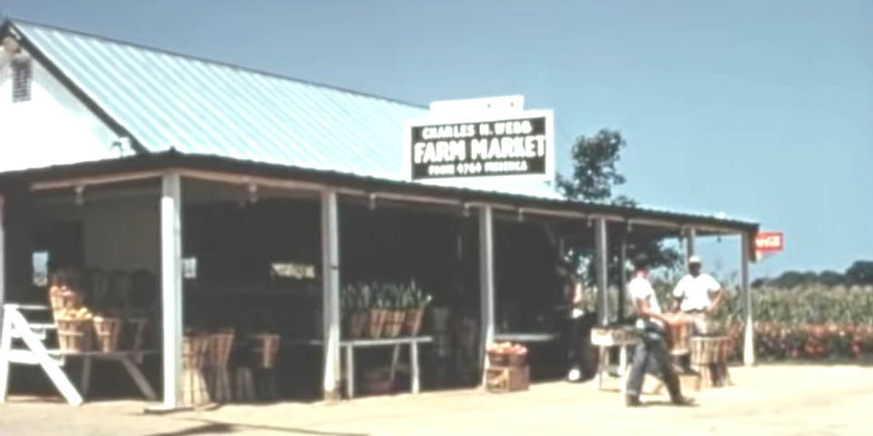 WEBB FARMERS MARKET IN DELAWARE 1950s