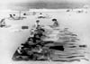 Women sunbathing on Rehoboth Beach Delaware circa 1950s
