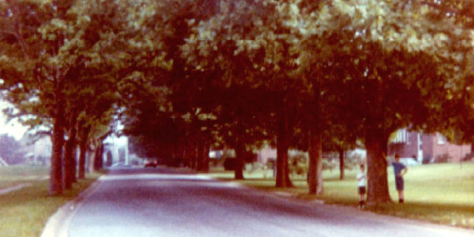 Wilmington Delaware Alban Drive in Alban Park in early 1970s